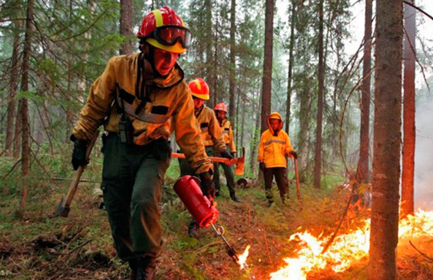 Областной департамент лесного хозяйства готов к пожароопасному сезону 2018 года
