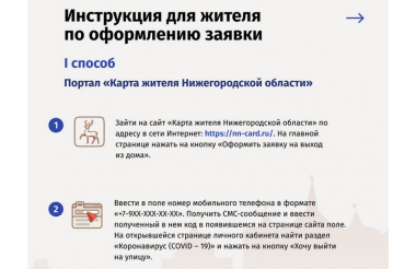 Жители Нижегородской области должны будут подтвердить необходимость выхода на улицу (ВИДЕО)