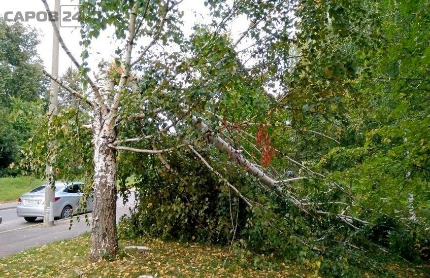 Сильный ветер прогнозируется в Нижегородской области 9 сентября
