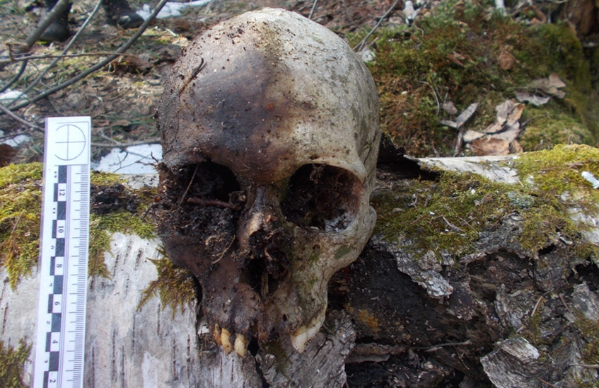 Саровская полиция обнародовала фотографию найденного на Протяжке черепа