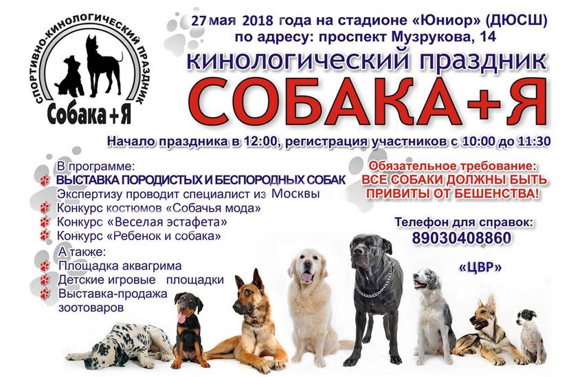 Праздник «Собака + я» пройдет в Сарове 27 мая