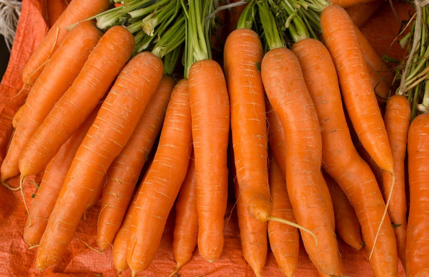 Морковь подешевела в Нижегородской области на 8,9 %