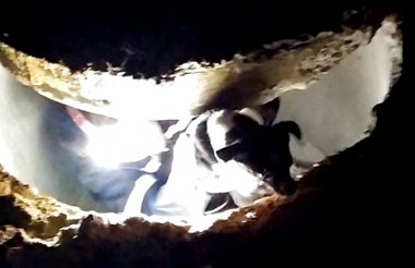 В Сарове сотрудники МЧС спасли упавшего в канализационный люк щенка