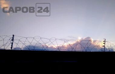 Владимир Путин подписал закон о блокировке сотовой связи для заключенных