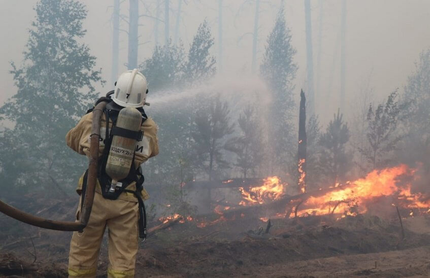 1 301 человек и 244 единицы техники тушат пожар в Мордовском заповеднике