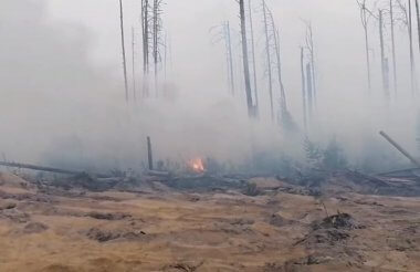 Вертолет Жуковского авиационно-спасательного центра прибыл тушить пожар в Мордовском заповеднике