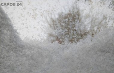 Метель и гололедица ожидаются в регионе 15 ноября