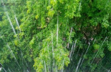 Гроза и град пройдут в Сарове в ближайшие сутки