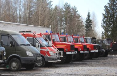 370 млн рублей пойдут на охрану лесов от огня в Нижегородской области