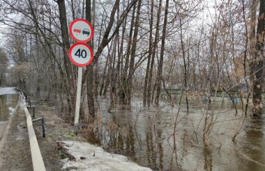 Топ за неделю