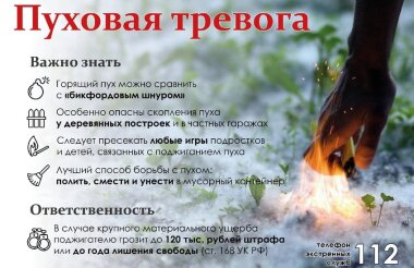 Пожарные тушили горящий тополиный пух в воскресенье