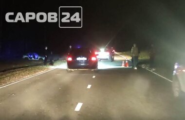 Саровчанин насмерть сбил лося (ВИДЕО)