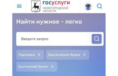 Мобильное приложение «Госуслуги. Нижегородская область» запущено в регионе