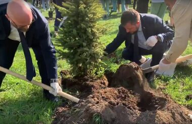 «Сад памяти» разбили на проспекте Мира (ВИДЕО)