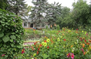 Станция юных натуралистов получила грант на проведение детских экологических мероприятий в 2025 году