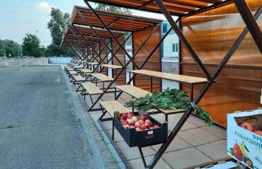 Пенсионеры и инвалиды могут получить бесплатные места в торговых павильонах