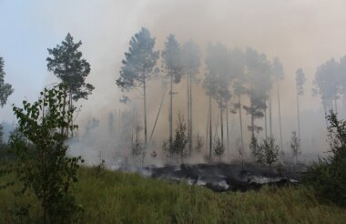 Риск лесных пожаров сохраняется в регионе