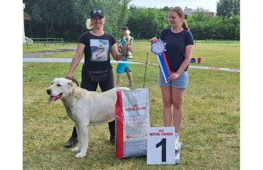 Среднеазиатская овчарка Яра стала лучшей собакой праздника «Собака + я» (ВИДЕО)