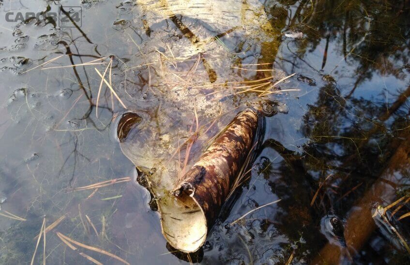 Вода из источников Святого Владимира и на Серебряных ключах соответствует нормативам