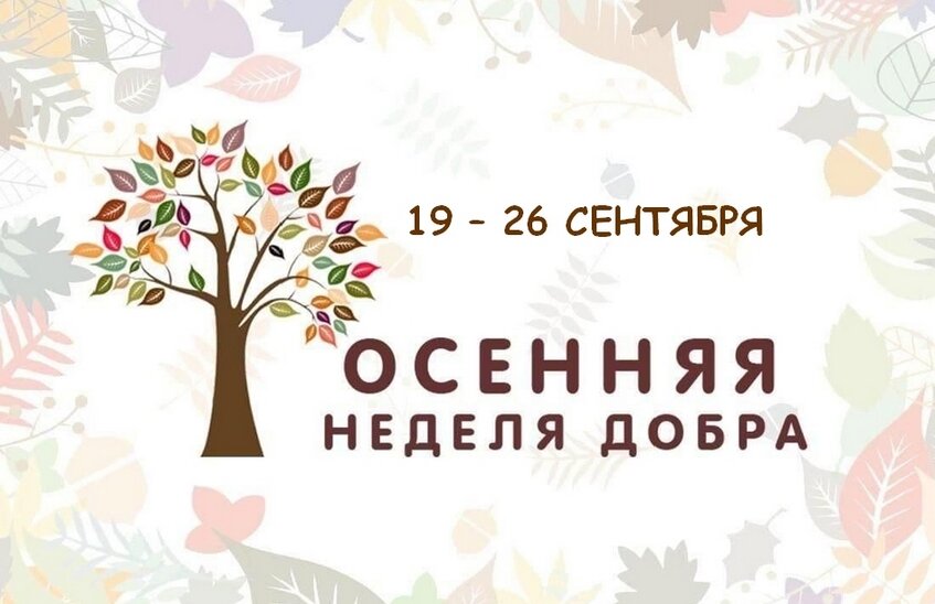 Осенняя неделя добра стартовала в Сарове