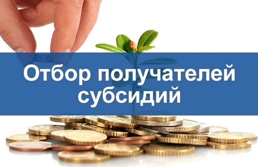 Саровские предприниматели могут получить субсидии до полумиллиона рублей