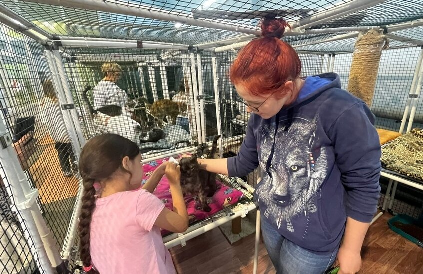 Пять социальных проектов получат деньги из городской казны