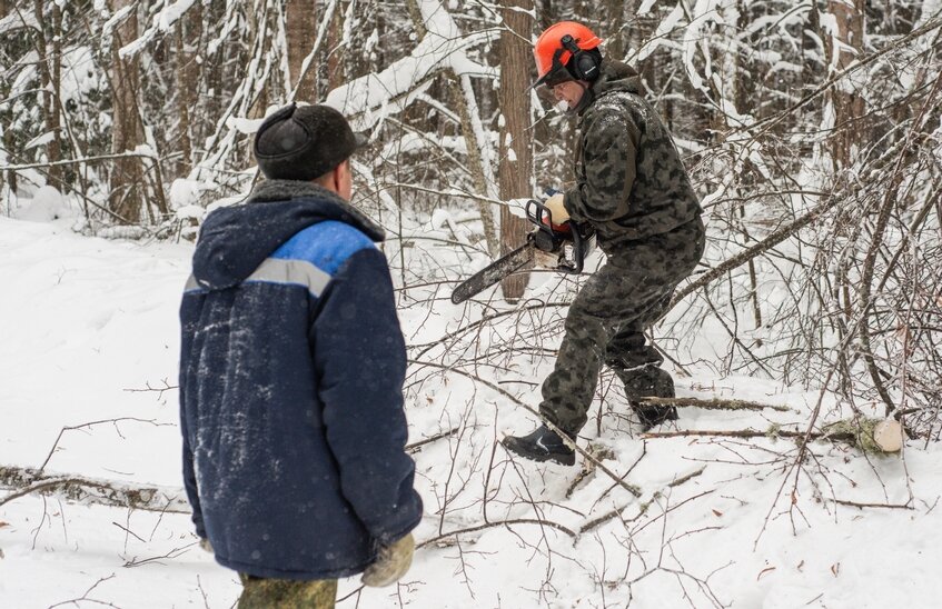 Саровские власти рекомендуют не ездить в лесополосе