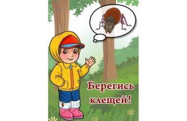 Боррелии выявлены в двух клещах в Сарове за неделю