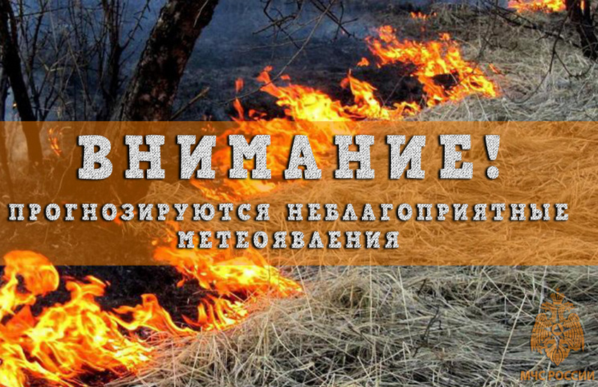 Спасатели прогнозируют высокую пожарную опасность